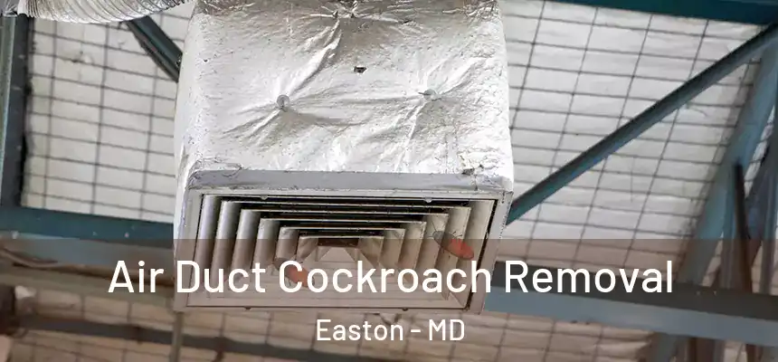  Air Duct Cockroach Removal Easton - MD
