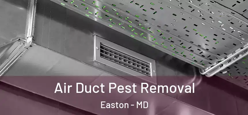 Air Duct Pest Removal Easton - MD