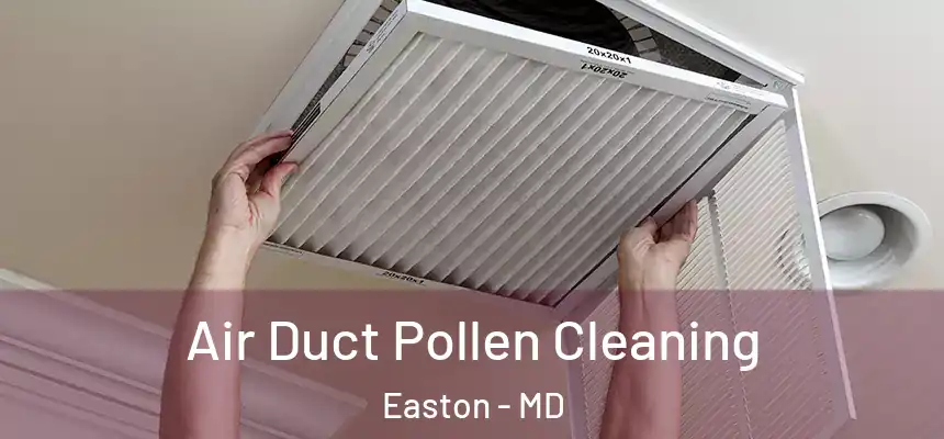  Air Duct Pollen Cleaning Easton - MD