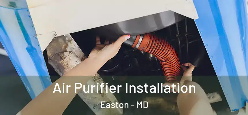 Air Purifier Installation Easton - MD