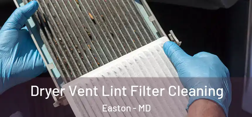 Dryer Vent Lint Filter Cleaning Easton - MD