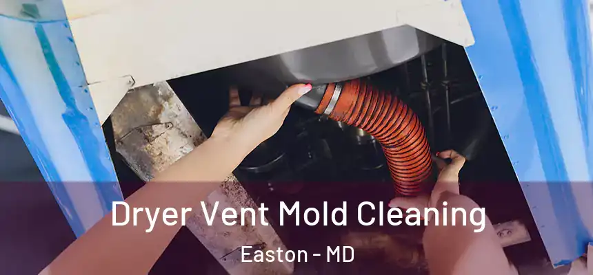Dryer Vent Mold Cleaning Easton - MD