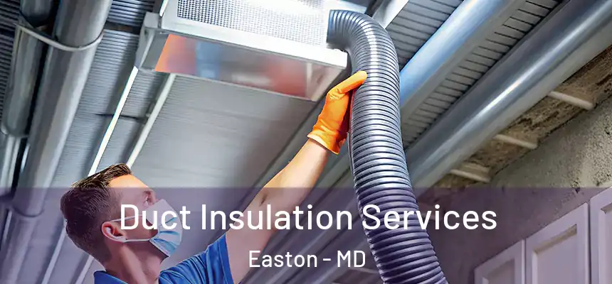 Duct Insulation Services Easton - MD