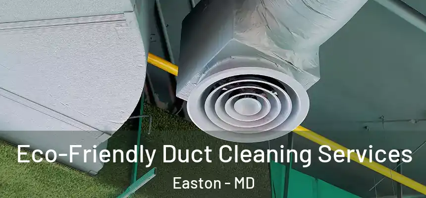 Eco-Friendly Duct Cleaning Services Easton - MD