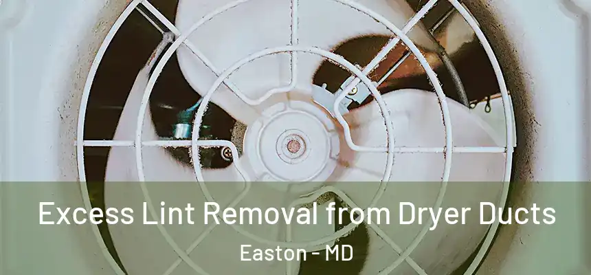 Excess Lint Removal from Dryer Ducts Easton - MD