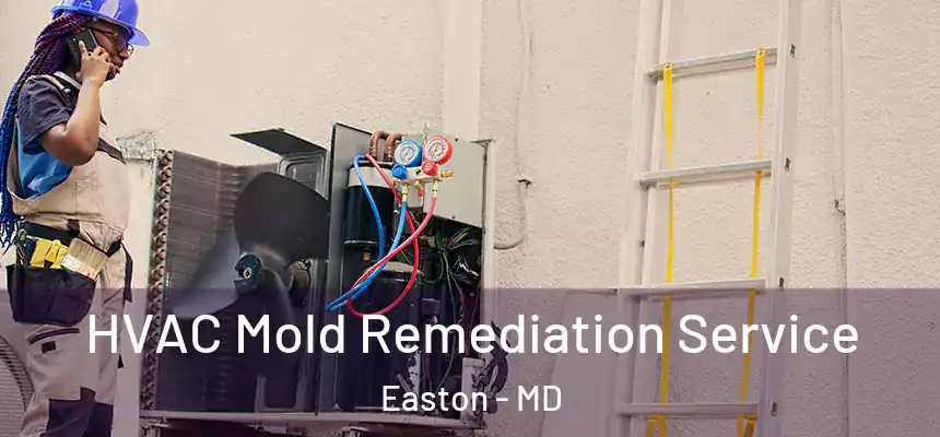 HVAC Mold Remediation Service Easton - MD
