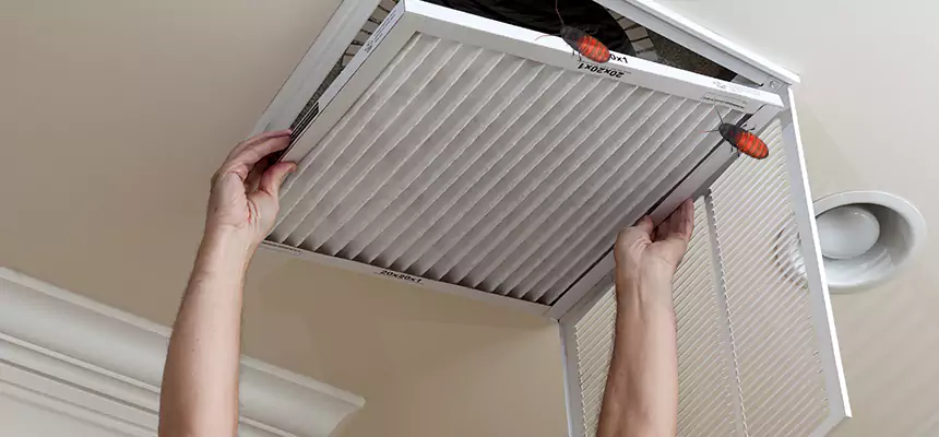 Preventive Cockroach-Proofing for Ducts in Easton