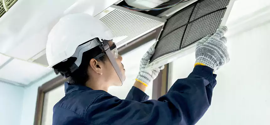 Our Mold & Mildew Removal from Air Ducts Services in Easton, MD