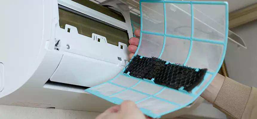 Gentle Ductwork Odor-Control Pet Dander Duct Cleaning in Easton, MD