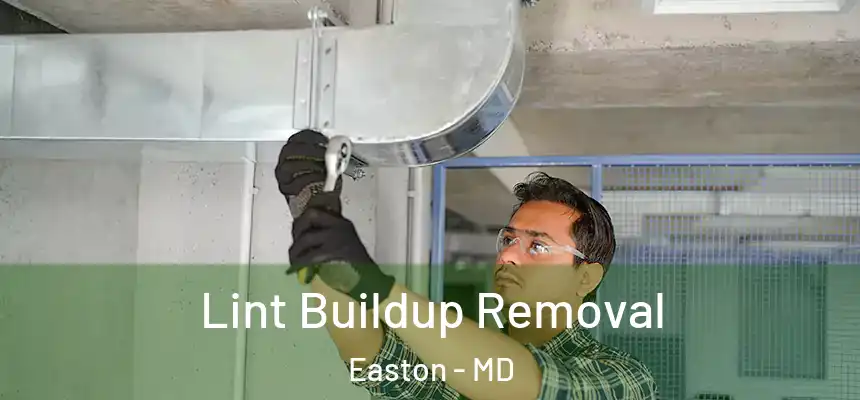 Lint Buildup Removal Easton - MD