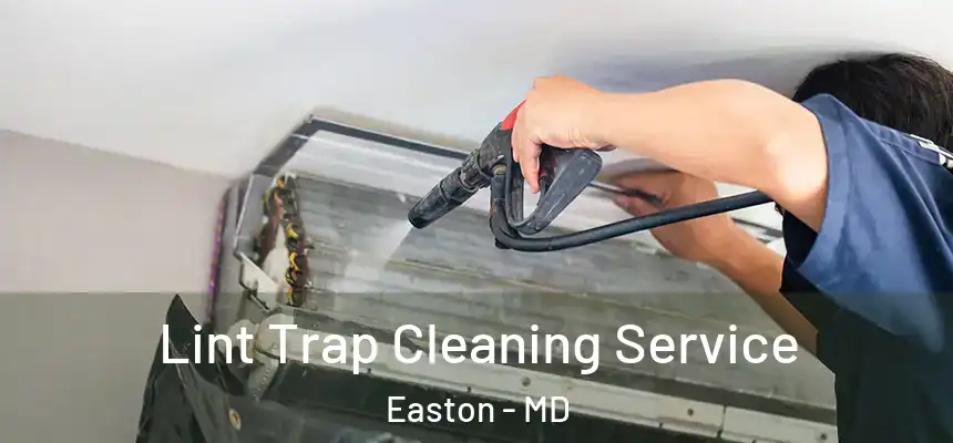 Lint Trap Cleaning Service Easton - MD