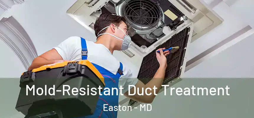 Mold-Resistant Duct Treatment Easton - MD