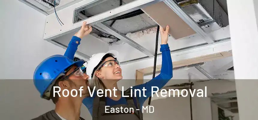 Roof Vent Lint Removal Easton - MD