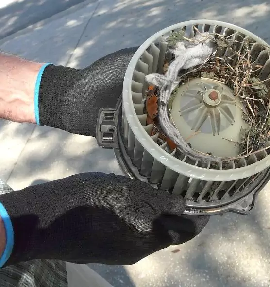 About Air Duct Mice Removal in Easton, MD