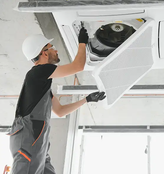 About Air Duct Rodent Removal in Easton, MD