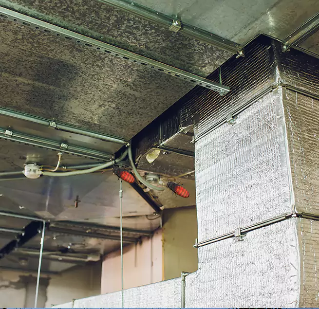 Why Homeowners & Businesses Trust Us in Easton, MD?