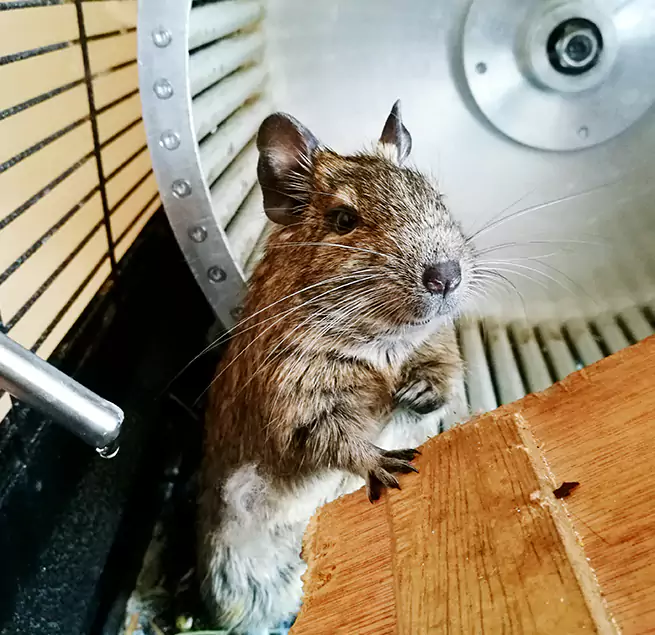 Why Homeowners & Businesses Trust Us Easton, MD