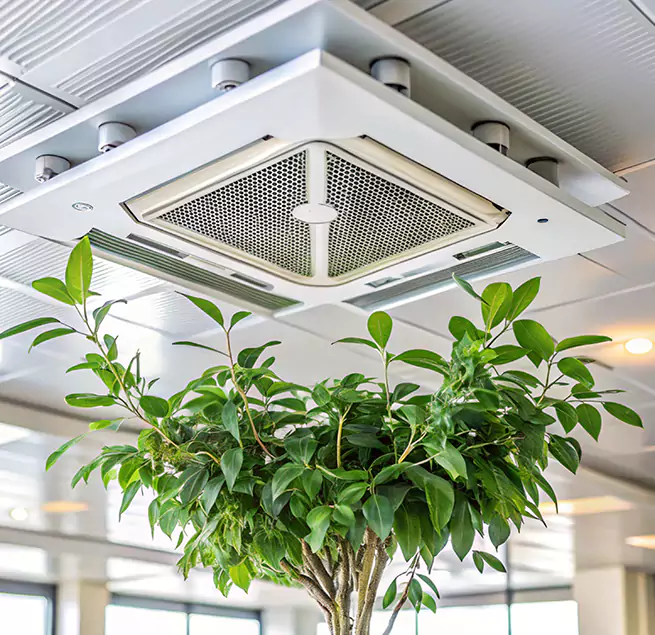 Why Homeowners & Businesses Trust Us in Easton, MD?